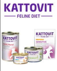 Kattovit