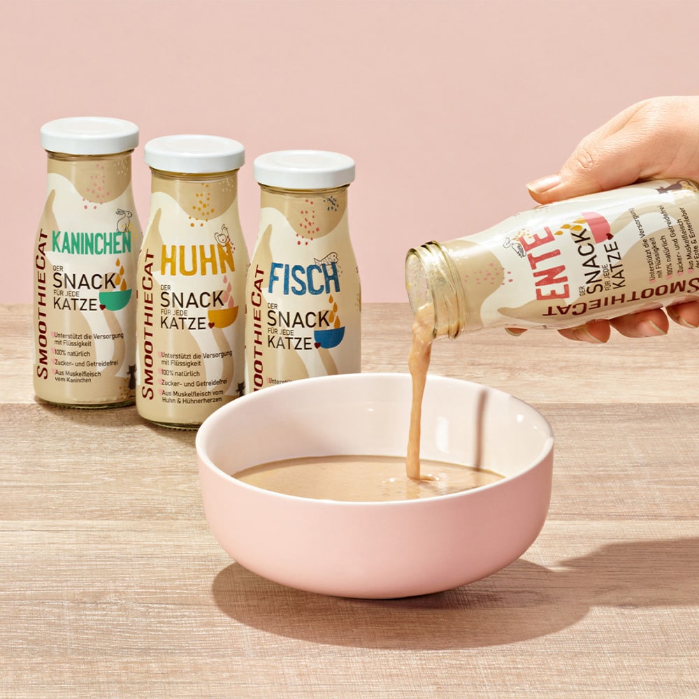 2 SmoothieCat MIX-min