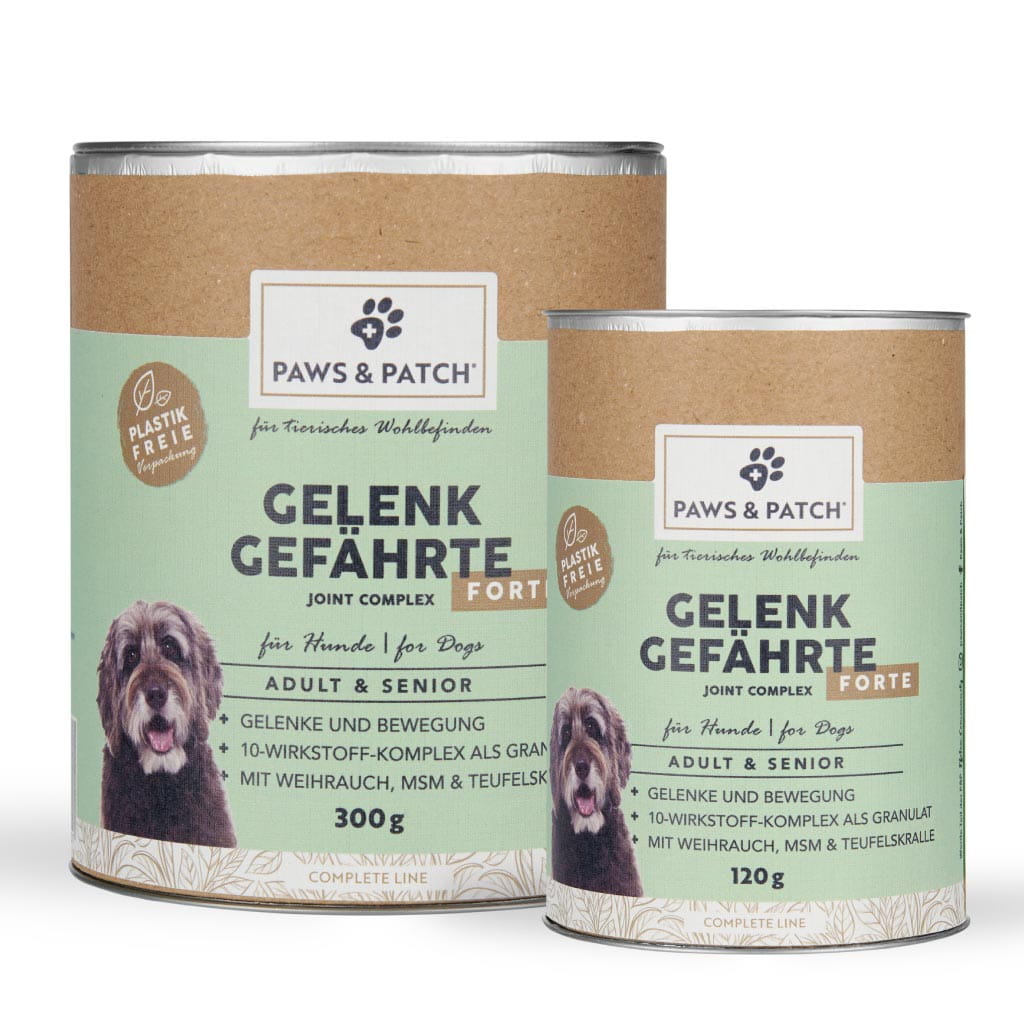 Paws Patch Gelenk Gefährte FORTE I Set